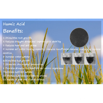 Water Soluble Powder or Flake Super Humic Acid